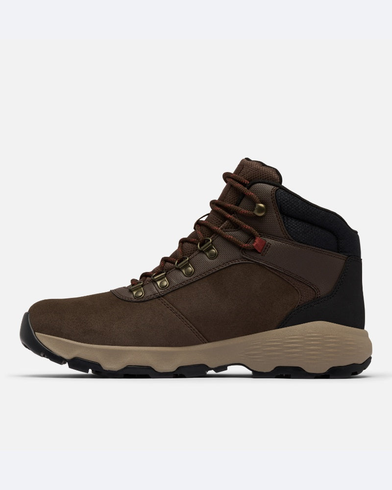 Newton Wander M