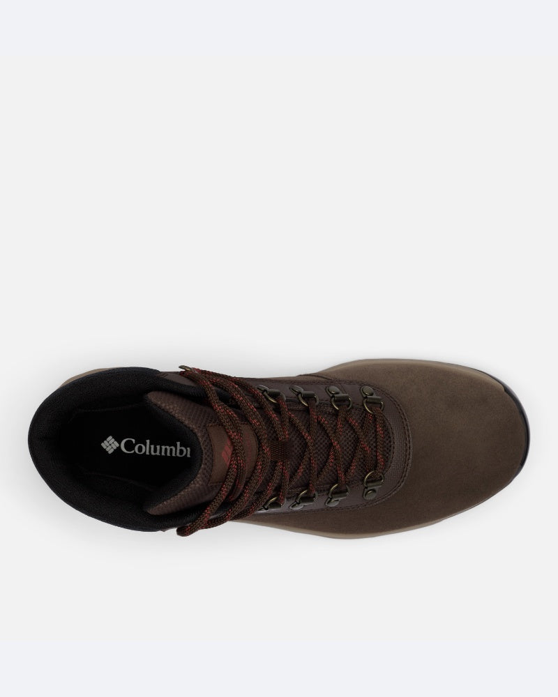 Newton Wander M